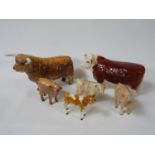 Collection of Beswick Cattle inc. Highland Bull, Hereford Bull and 4 Calf