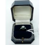Ladies 9ct White Gold Ring with Peg set Tahitian type Pearl flanked with claw setting, 2.7g total