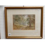 Walter Duncan ( 1848 - 1932 ), Watercolour of a Woodland scene, signed to bottom right, 26 x 17cm