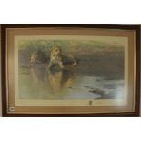 Large Framed David Shepherd 'Cool Waters' 164 of 500 Signed in Pencil