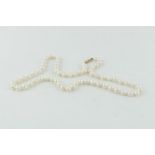 Restrung set of Mikimoto Cultured Pearl Necklace 48cm in total Length on 9ct gold clasp unmarked