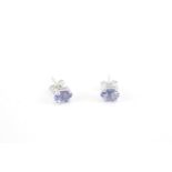 Pair of Good Quality Oval Cut Tanzanite Silver claw set Stud earrings