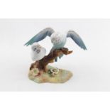 Royal Crown Derby figure 'Budgerigars' XLIII Artist Y Harper 15cm in Height