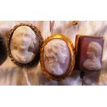 A Victorian stick pin carved agate cameo of a lady and two other cameos Victorian ladies
