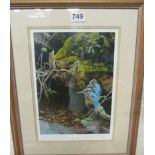 Stephen Grayford limited edition print Kingfisher