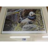 Stephen Grayford artist's proof Great Panda