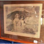 After W.H. Trood two puppies sheltering under an umbrella, engraving, signed in pencil by the