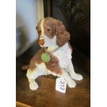 A Spaniel dog ornament