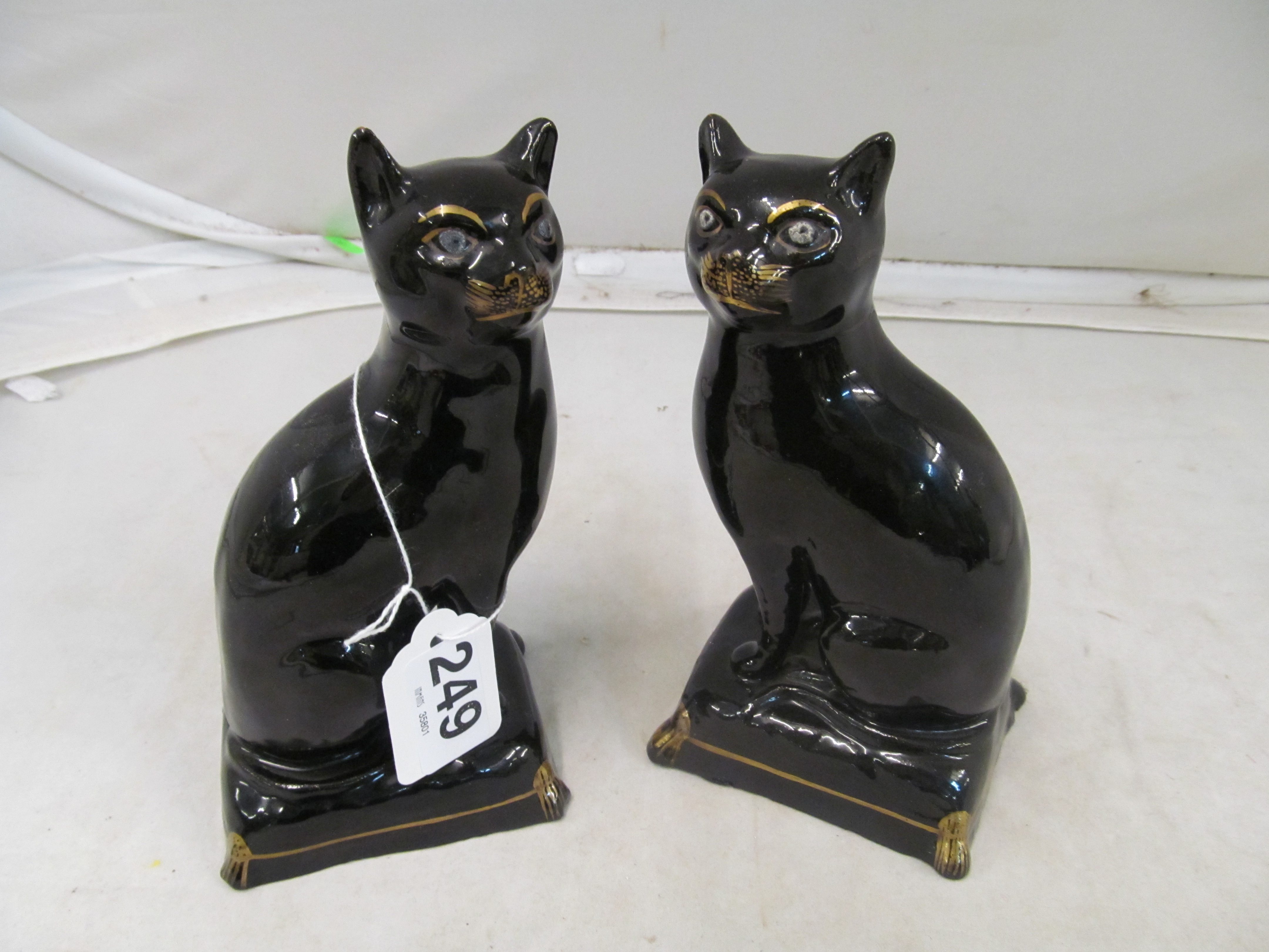 A pair of black cats