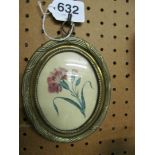 A small 19th Century botanical watercolour in brass reeded frame