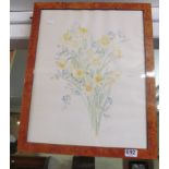 Anne Macleod - watercolour still life daffodils