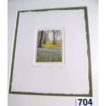 Mary George - a pair of limited edition prints 'Bluebell Wood' 198/250 and 'Springtime' 78/250