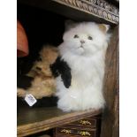 A Persian cat 'Real soft toy' and spaniel night dress case