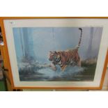 A Pearson print 'The Fishing Tiger' 11/850