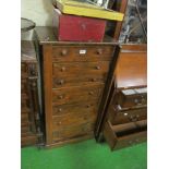 A 19th Century stained wood Wellington chest of seven drawers