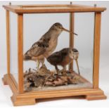 A PAIR OF TAXIDERMY WOODCOCKS