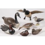 SEVEN BIRD DECOYS