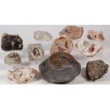 A GROUP OF FOSSILS AND GEODES
