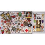 100 VARIOUS INSIGNIA