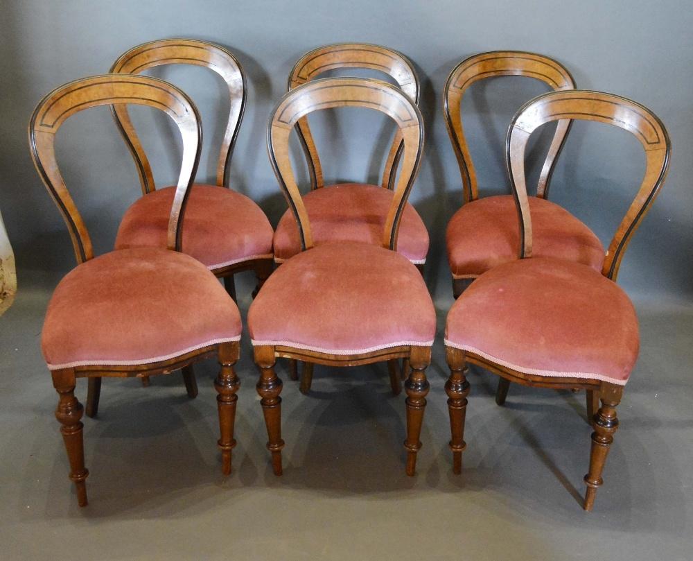 A Set of Six Victorian Walnut Balloon Back Dining Room Chairs, each with a serpentine stuff over