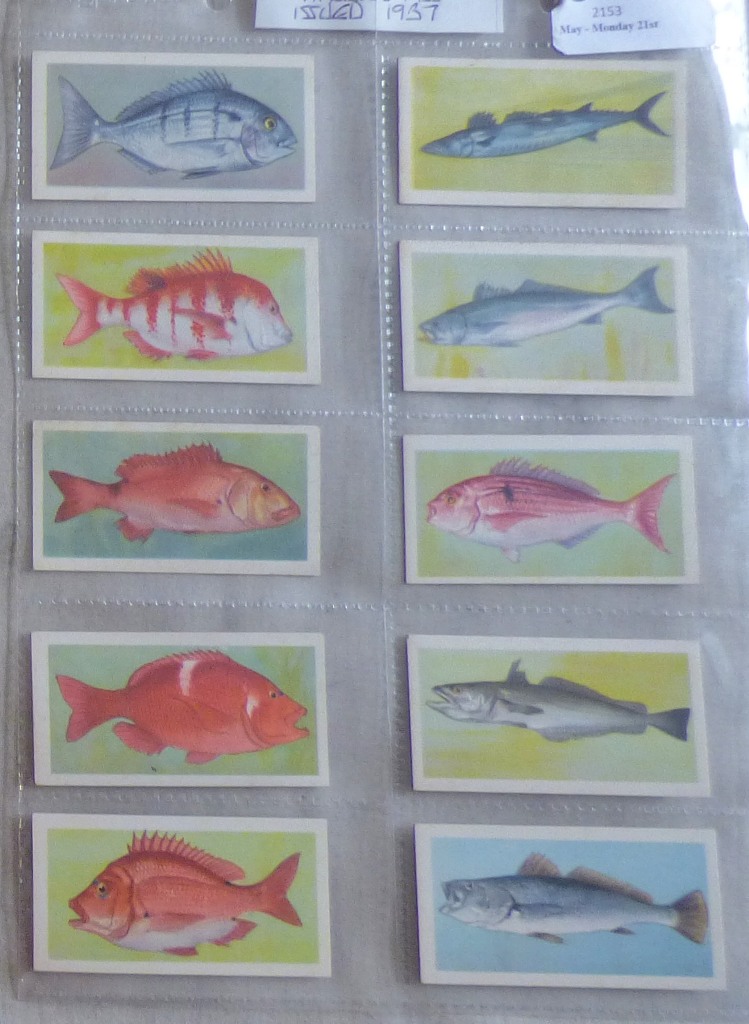 United Tob Cos (South) Ltd (S Africa) African Fish 1937 set 50/50 VG/EX