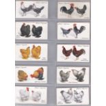 Players 1931 Poultry set 50/50 VG/EX Iconic set
