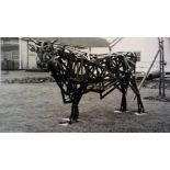Photographcia/Sculpture-The Black Bull of Otley-a remarkable steel sculpture by Rutoul Booth-as