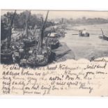 London 1898-used Court Postcard, The Thames at Putney used Bishop Stortford to Frankfurt