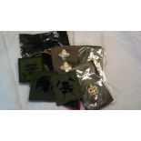 British Military Modern Queen's Royal Lancers mixed lot of officers epaulettes and patches, 1st,