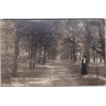 Postcard-Norfolk-Holkham Park-Fine RP, Fuschia Walk, early, lady dressed for a promenade walk