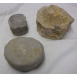Plesiosaurs fossilized vertebra segments (3) very well preserved with letter of identification by