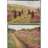 Postcard-Garden Studies-Batch of postcards published by Geoffrey Phillips (De Reszke Cigarettes)(