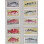 United Tob Cos (South) Ltd (S Africa) African Fish 1937 set 50/50 VG/EX