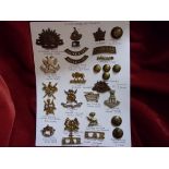 British Commonwealth and Colonial Cap Badge and Shoulder Title Collection (28) including: