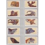 United Tob Cos (South) Ltd (S Africa) Wild Animals of The World 1932 set 50/50 VG/EX