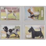 Ardath Tobacco Co Ltd Champion Dogs 1934 set X25/X25 VG/EX