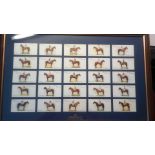 Grand National Winners framed & glazed, REPRODUCTION of John Player cards nos 26 - 50