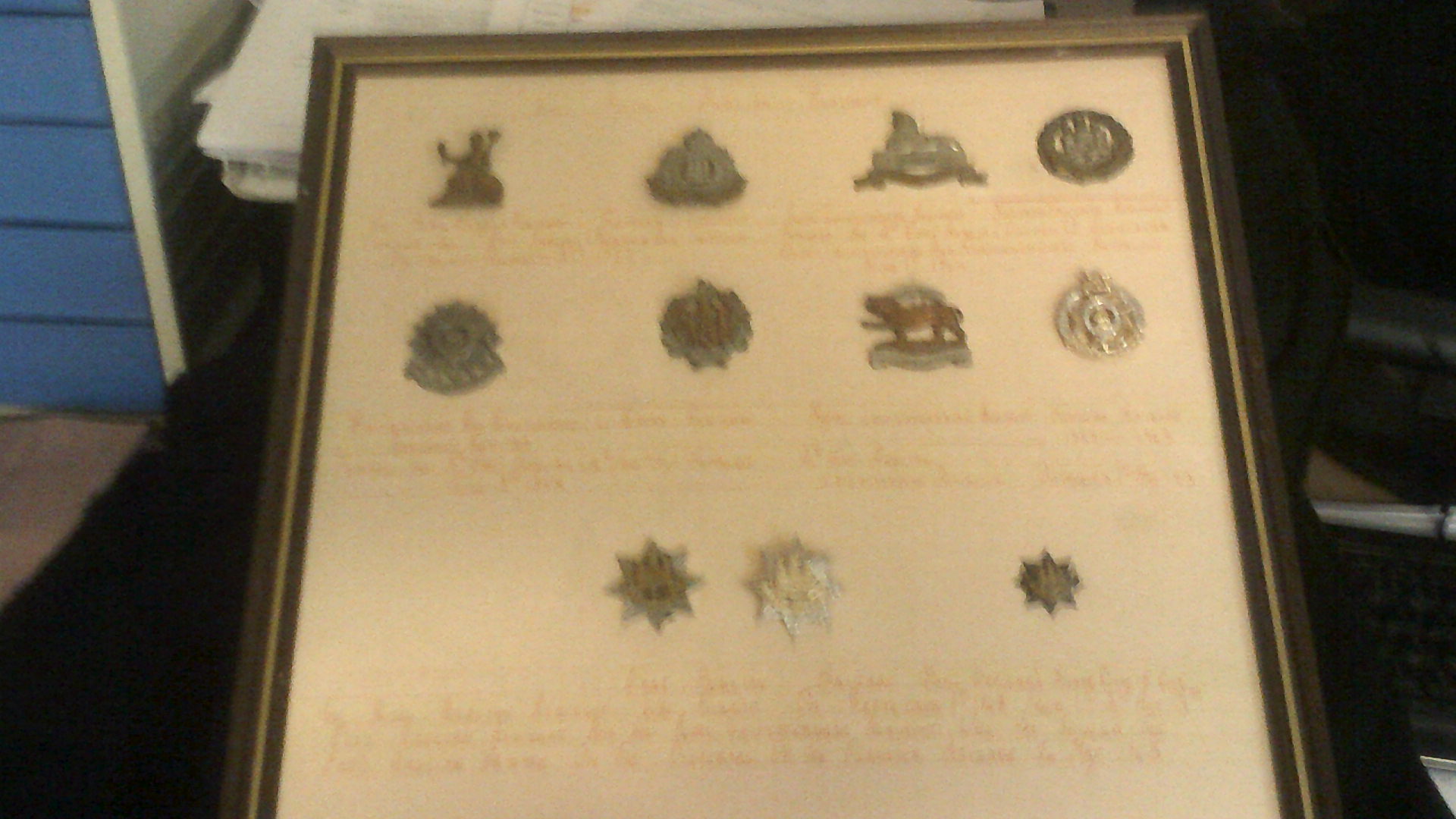 Collar Badges and shoulder pairs-mostly KC, (17) pairs one boxed SAS etc