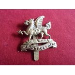 South Wales's Borderers (The Brecknockshire Battalion) Territorial WWI Cap Badge (Gilding-metal),