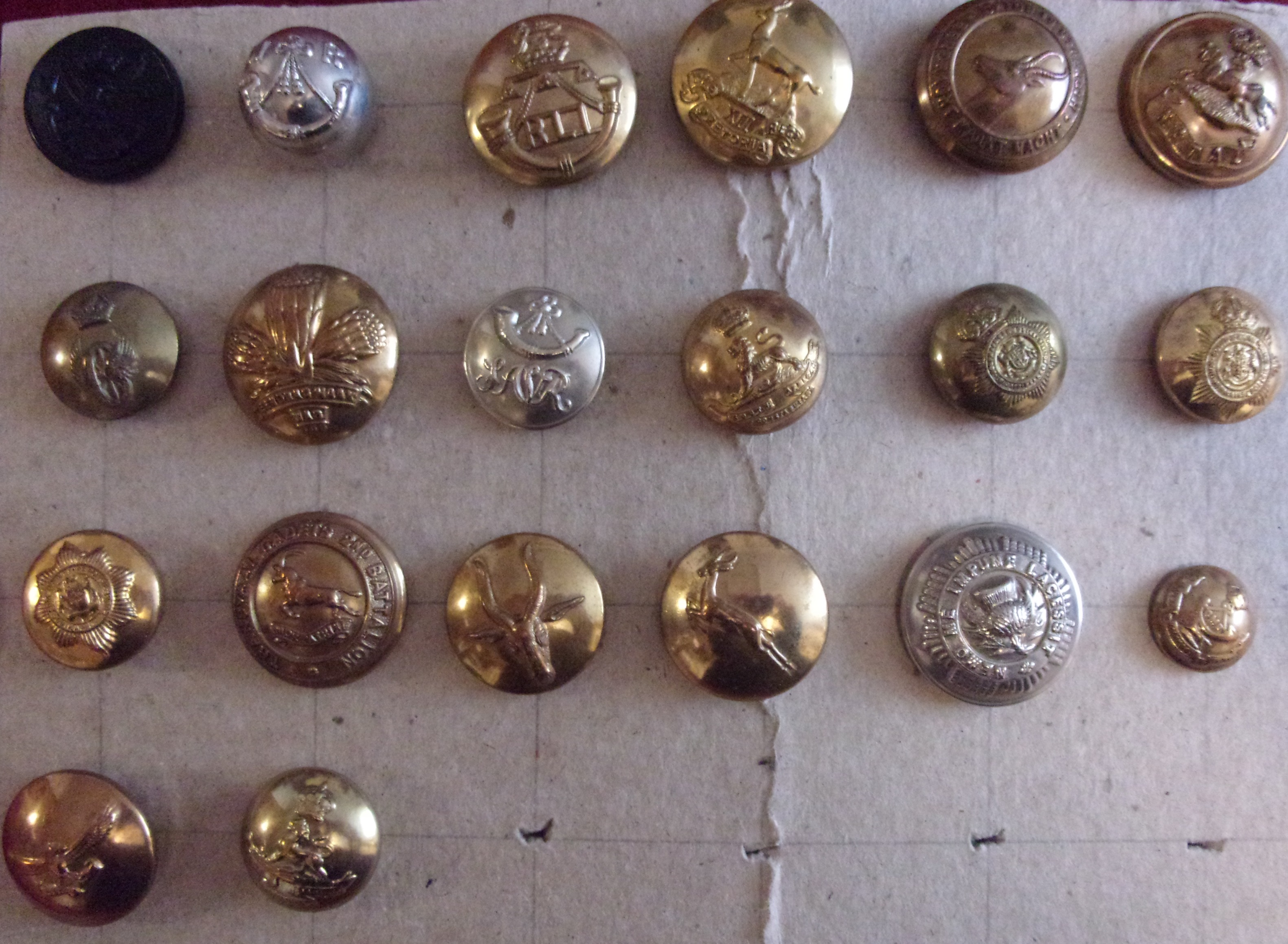 Commonwealth Military Button Collection (24 Large) African including: Natal Infantry, Transvaal