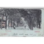 Postcards-Cheltenham 1904-used Hold to Light postcard-The Promenade-Pub WH Berlin-Some
