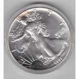 USA 1991 Eagle Dollar – Silver, BUNC