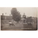 Postcards-Mill Lane-The Green-RP postcard cattle grazing! Message reads The Old Angel and Crown, now