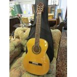 SHERIDAN CLASSICAL GUITAR, no BC075-NA in fitted case