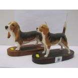 BESWICK DOG, plinth mounted Beagle and Basset Hound