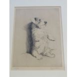 CECIL ALDIN, signed limited edition etching "Portrait of begging Dog", 7" x 5"