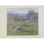 STEPHEN HAWKINS, signed oil on paper "Sheep Grazing", 9.5" x 11"