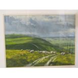 STEPHEN HAWKINS, signed oil on paper, "Sheep grazing near Poynings", 11" x 15"