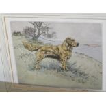 HENRY WILKINSON, signed limited edition colour etching "Golden Retriever", 7" x 8.5"