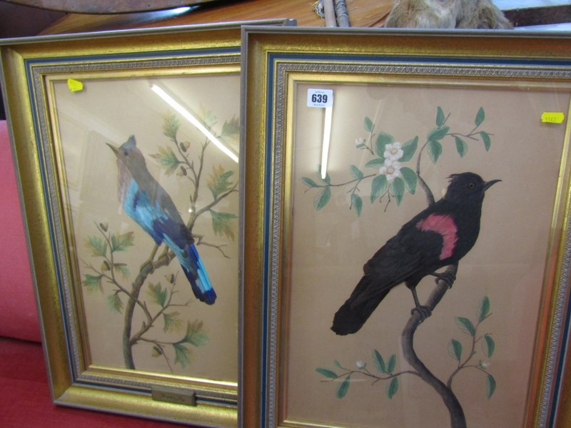 BIRD FEATHER COLLAGES, pair of gilt framed bird panels "Red wing Blackbird" and "Rouler Jay", 19"